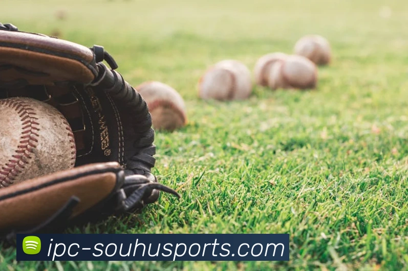 搜狐体育平台生态图